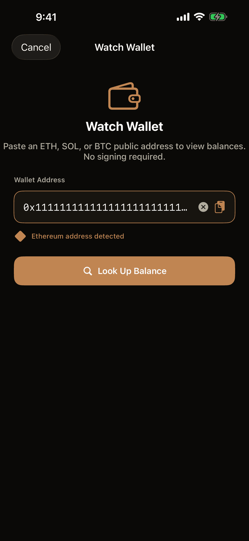 PortiFi wallet lookup showing a detected public Ethereum address and read-only balance search